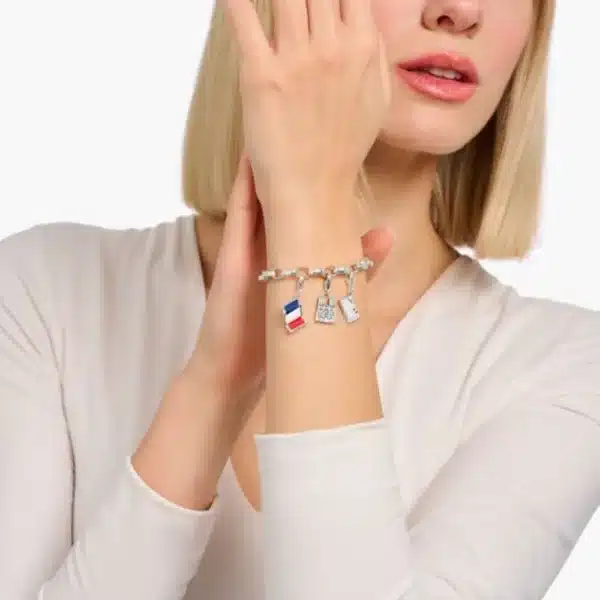 Charm Sello Francia Plata-2